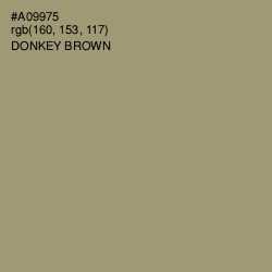 #A09975 - Donkey Brown Color Image
